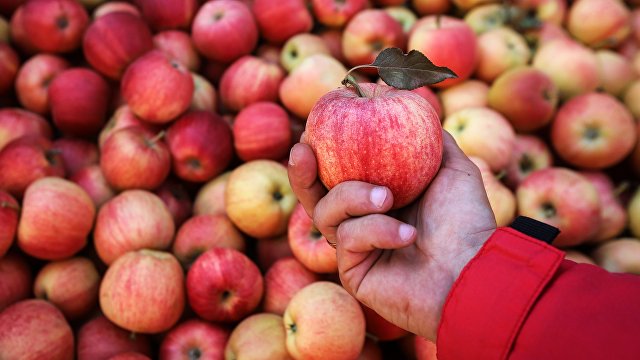 Okaz (Саудовская Аравия): почему лучше есть яблоки с кожурой