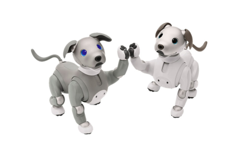 Sony Aibo неожиданно обновили: Перекрасили ему «шерсть»