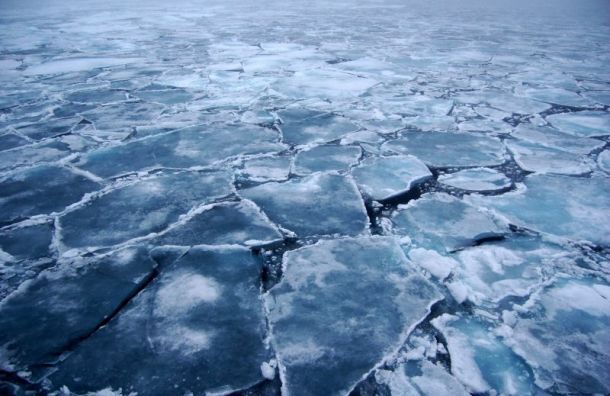 Стало известно, кто утонул в Тосненском районе