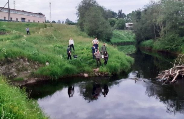 Отрубленную ногу нашли в реке Мга в Ленобласти