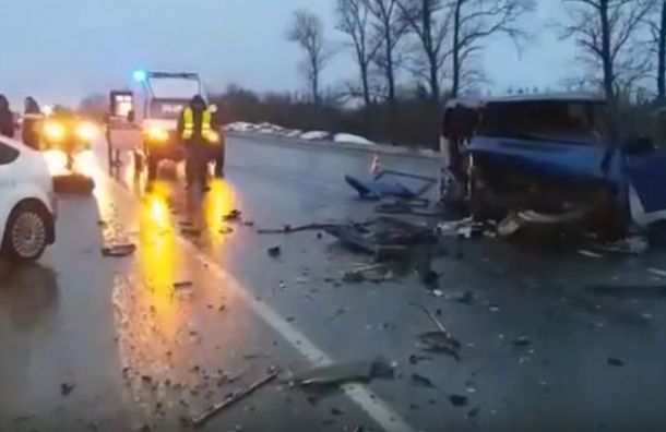 Шесть человек пострадали в жутком ДТП на трассе Петербург — Невель