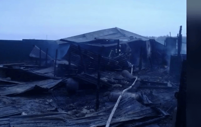 Погибшие при пожаре в тепличном комплексе в Подмосковье — предположительно, граждане Вьетнама