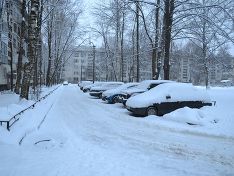 Петербуржцы дождались снега (фото)