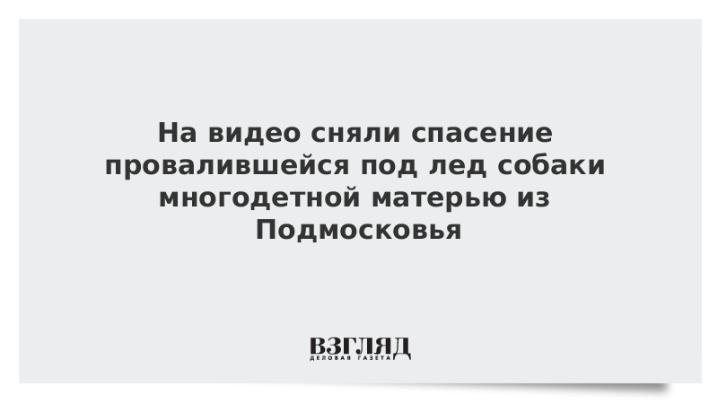 На видео сняли спасение провалившейся под лед собаки многодетной матерью из Подмосковья