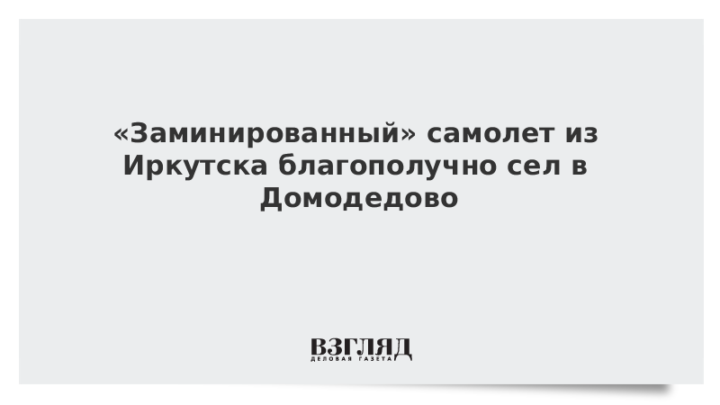 «Заминированный» самолет из Иркутска благополучно сел в Домодедово