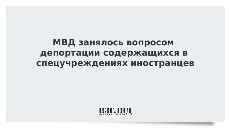 МВД занялось вопросом депортации содержащихся в спецучреждениях иностранцев