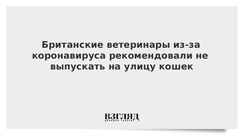 Британские ветеринары из-за коронавируса рекомендовали не выпускать на улицу кошек