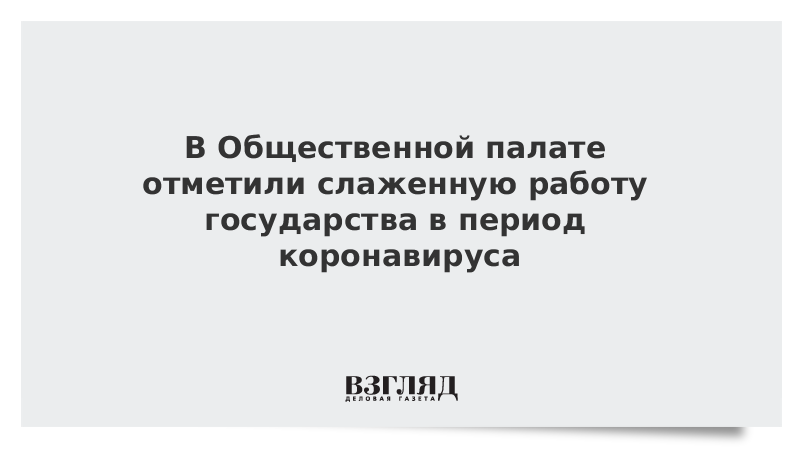 В Общественной палате отметили слаженную работу государства в период коронавируса