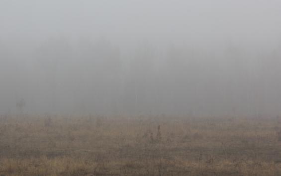 В области будет туманно и загадочно