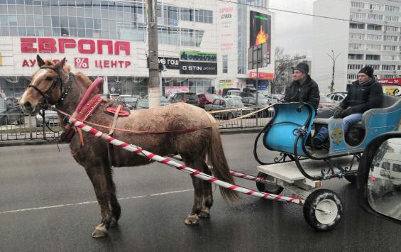 Креативные куряне