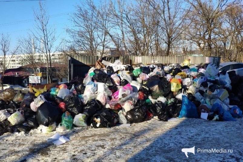 Власти Приморья дали мусороперевозчикам неделю на наведение порядка во Владивостоке