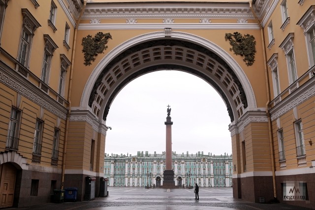 Чайки на Мойке: людей на улицах Петербурга заменили птицы — фоторепортаж