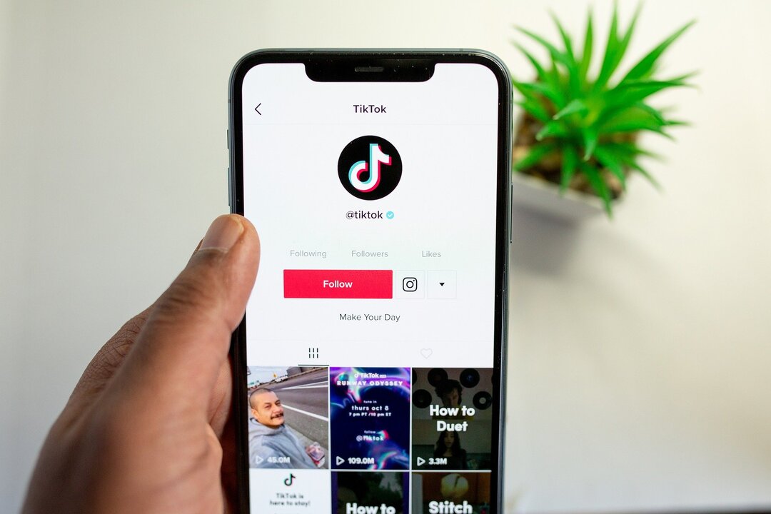 С владельца TikTok стрясли $92 млн через суд