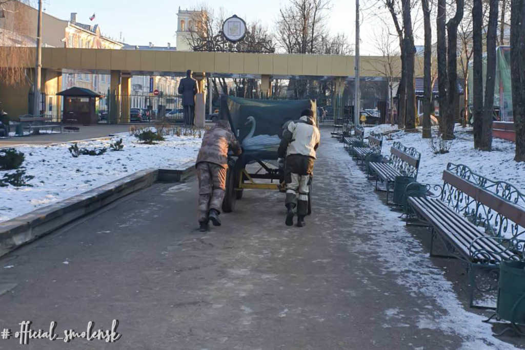 Смоленских лебедей отправили на зимовку