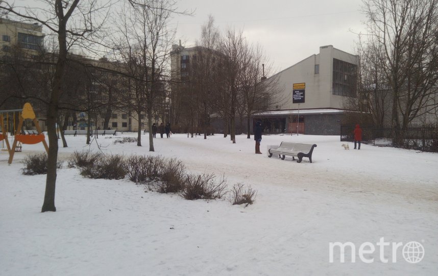 Прогулка по северу Петроградки: парки, легенды и тайные места