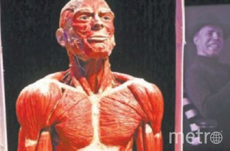 Человеческие тела изнутри. На ВДНХ открылась скандальная выставка Body Worlds