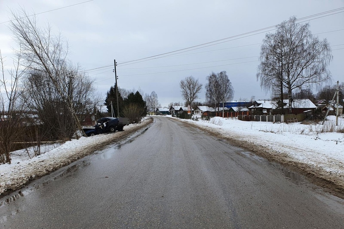 В Зубцовском районе врезалась в дерево легковушка