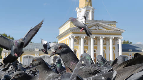 Кострома креативная // В творческих сферах крупные агломерации не заслоняют просто города